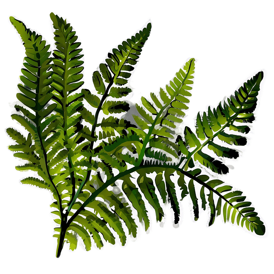 Fern Leaf Outline PNG mbu24