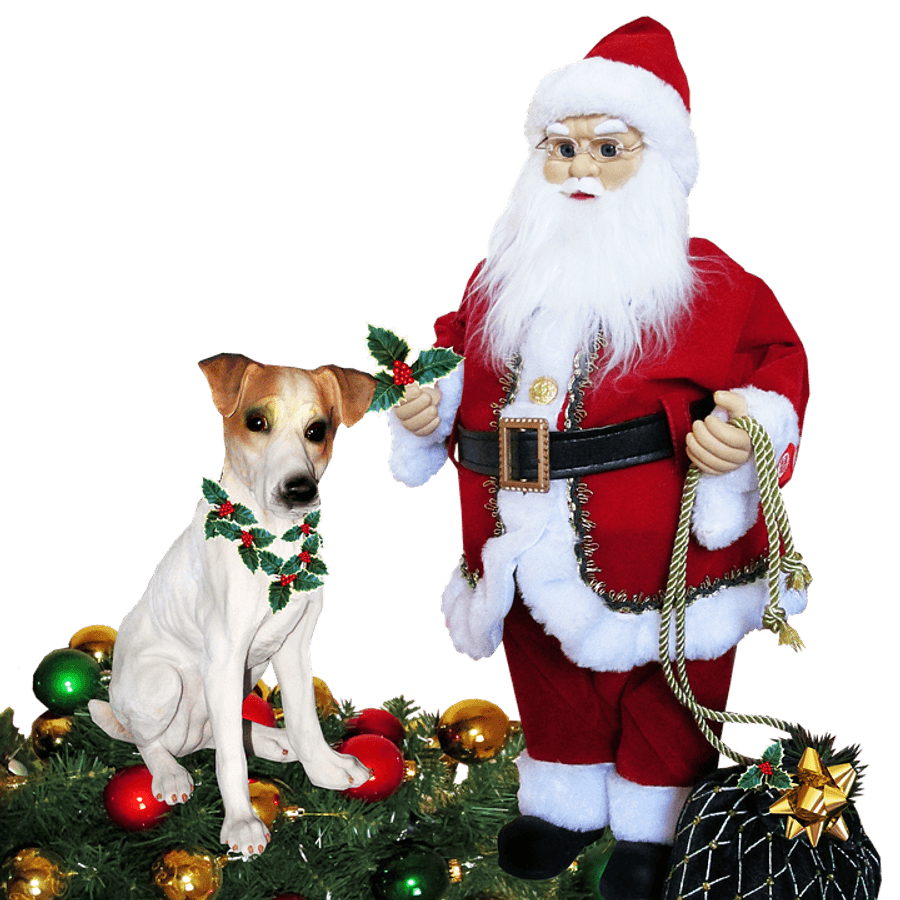 Santaand Dogwith Christmas Decorations
