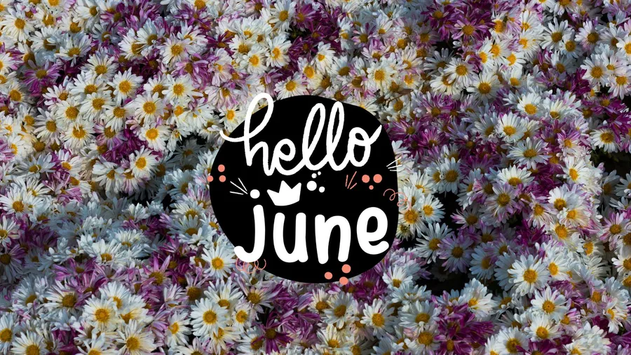 Hello June