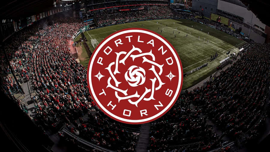 Folla allo Stadio delle Portland Thorns F C