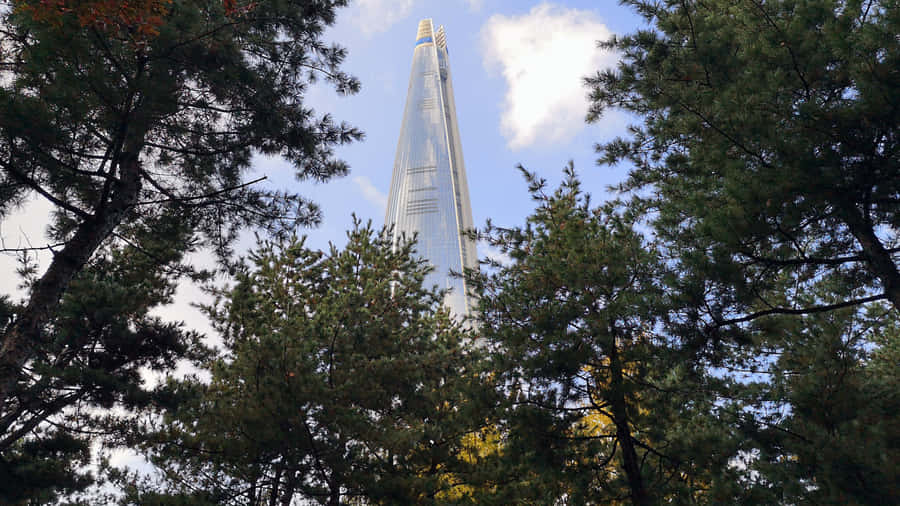 Torre Lotte World Através das Árvores