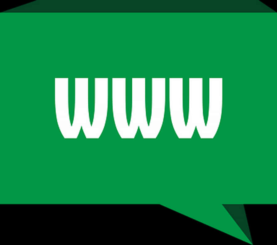 W W W Speech Bubble Icon