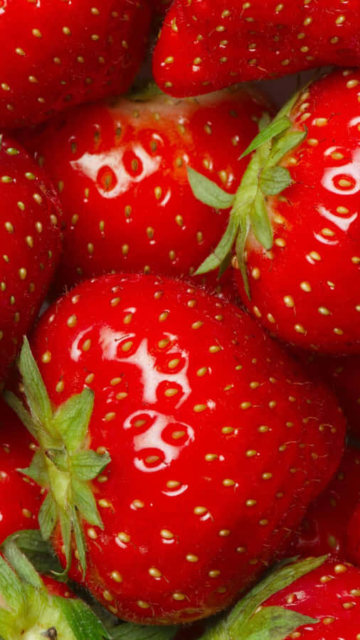 Papelde parede de morango vermelho 1080 x 1920