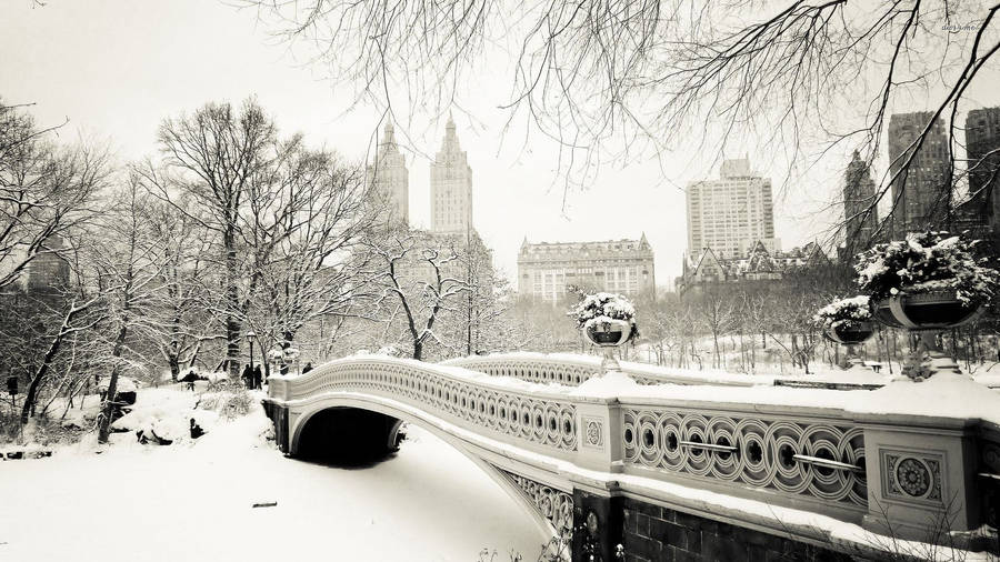 Central Park Bridge New York Computer Tapet Wallpapers
