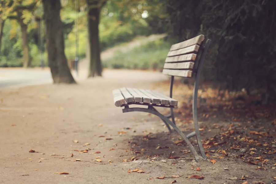 Dusty Roadside Bench