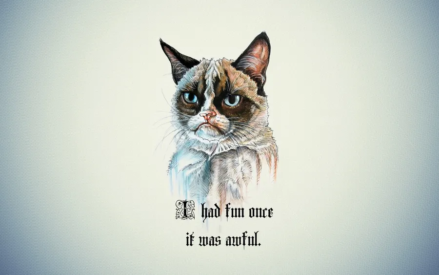 Grumpy Cat