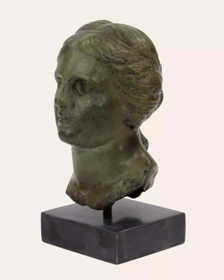 Klassische Büste Skulptur Aphrodite Ästhetik