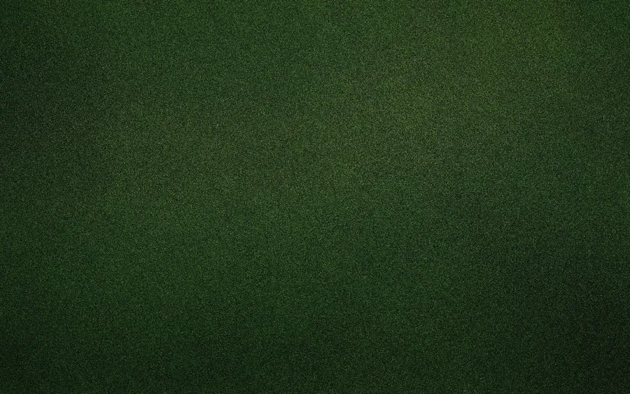 Solid Green Background