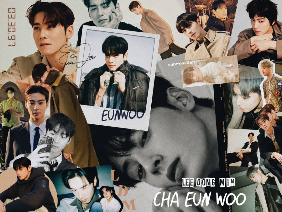 Download Cha Eun Woo Lee Dong Min Wallpaper | Wallpapers.com