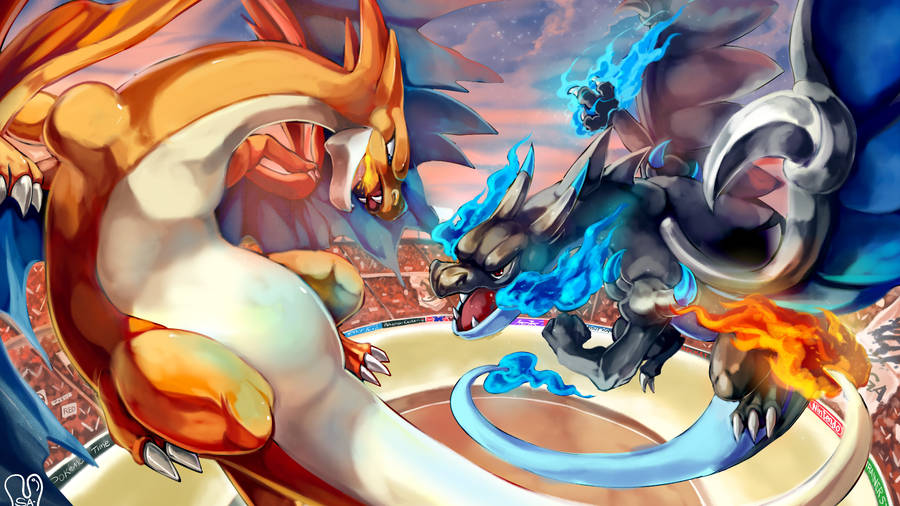 Download Charizard And Mega Charizard X Battle Wallpaper | Wallpapers.com