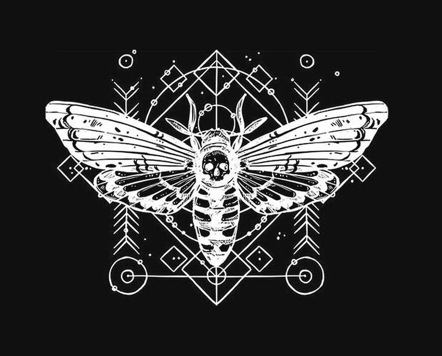 Download Cicada Skull Art Wallpaper | Wallpapers.com