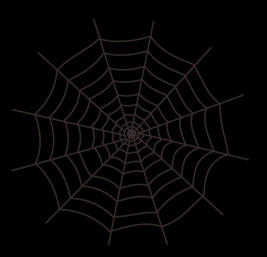 Intricate Spider Webon Dark Background