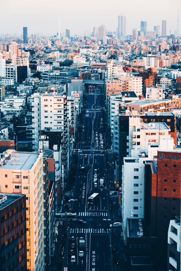 Download City View Of Tokyo At Sunrise Wallpaper | Wallpapers.com