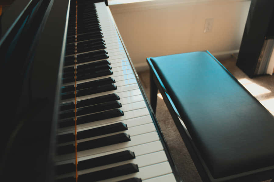 Estetica del Pianoforte e Panchina Illuminati dal Sole