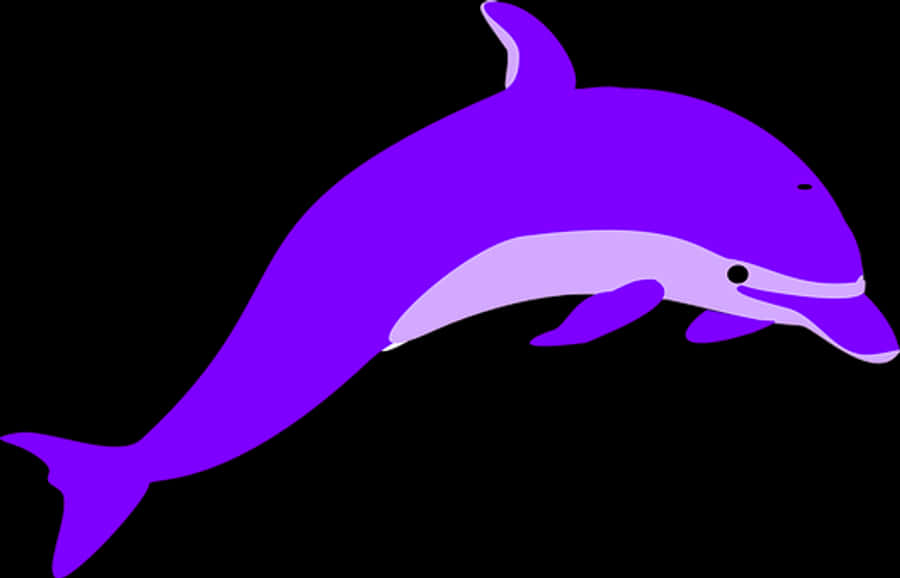 Purple Dolphin Graphic