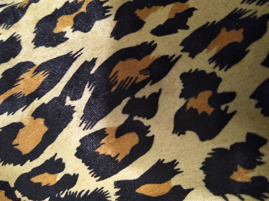 Download Cloth Cute Leopard Print Design Wallpaper | Wallpapers.com
