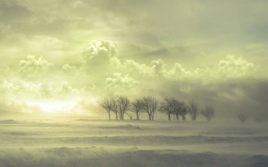 Wallpaper of ash white clouds with snowy grounds and bare trees.