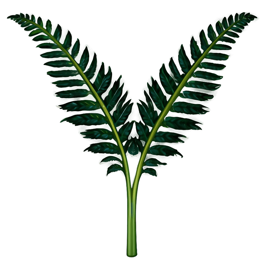 Fern Sprout PNG 68