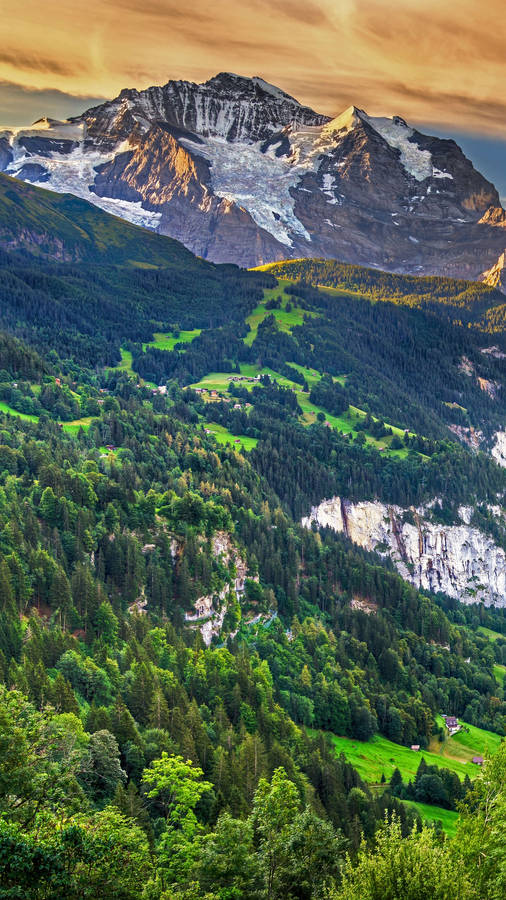 unacatena montuosa con una foresta verde