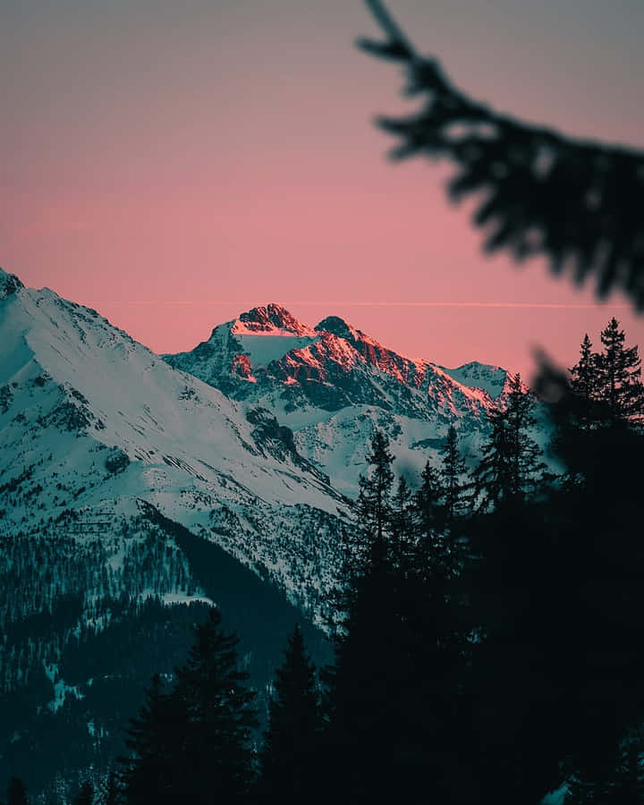 Rosa Sonnenuntergang Glühen auf Schneebedeckten Bergen