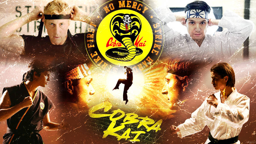 Download Cobra Kai Generations Wallpaper | Wallpapers.com