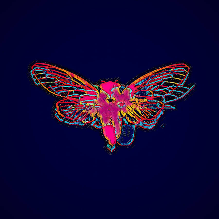 Download Colorful Cicada Art Wallpaper | Wallpapers.com