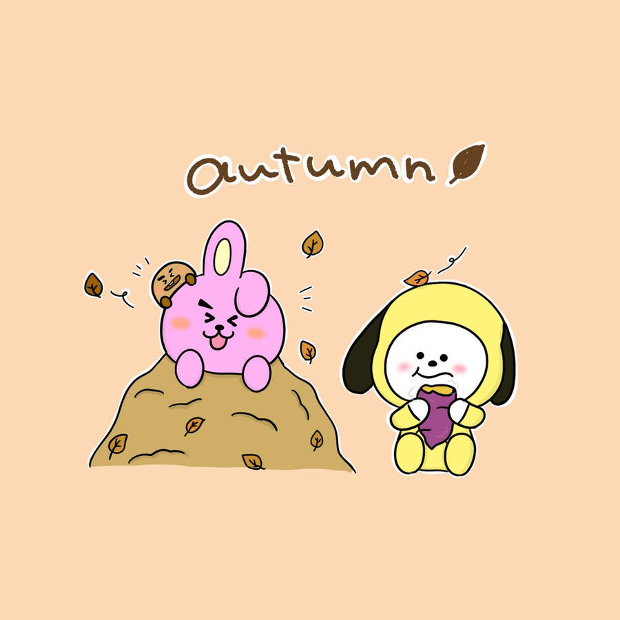 Download Cooky And Chimmy Bt21 Wallpaper Wallpapers Com