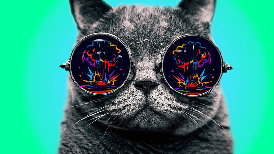 Cool cat explosion glasses wallpaper