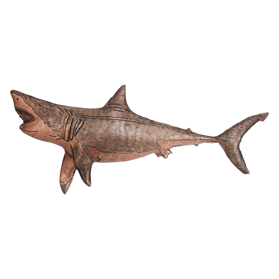Copper Shark Illustration