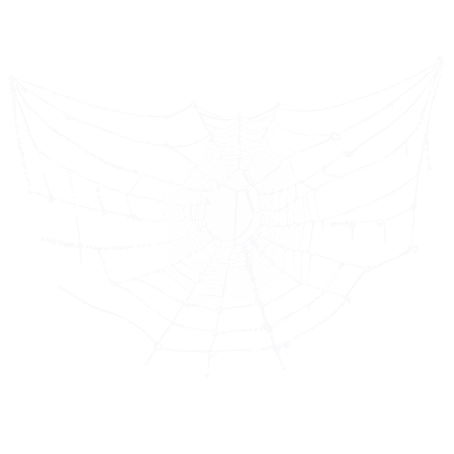 Mysterious Cobweb in Fog PNG rhv8