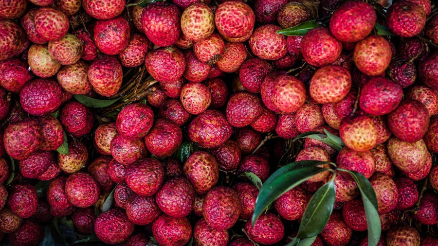 EsteticaFrutta Tropicale Litchi Rosa