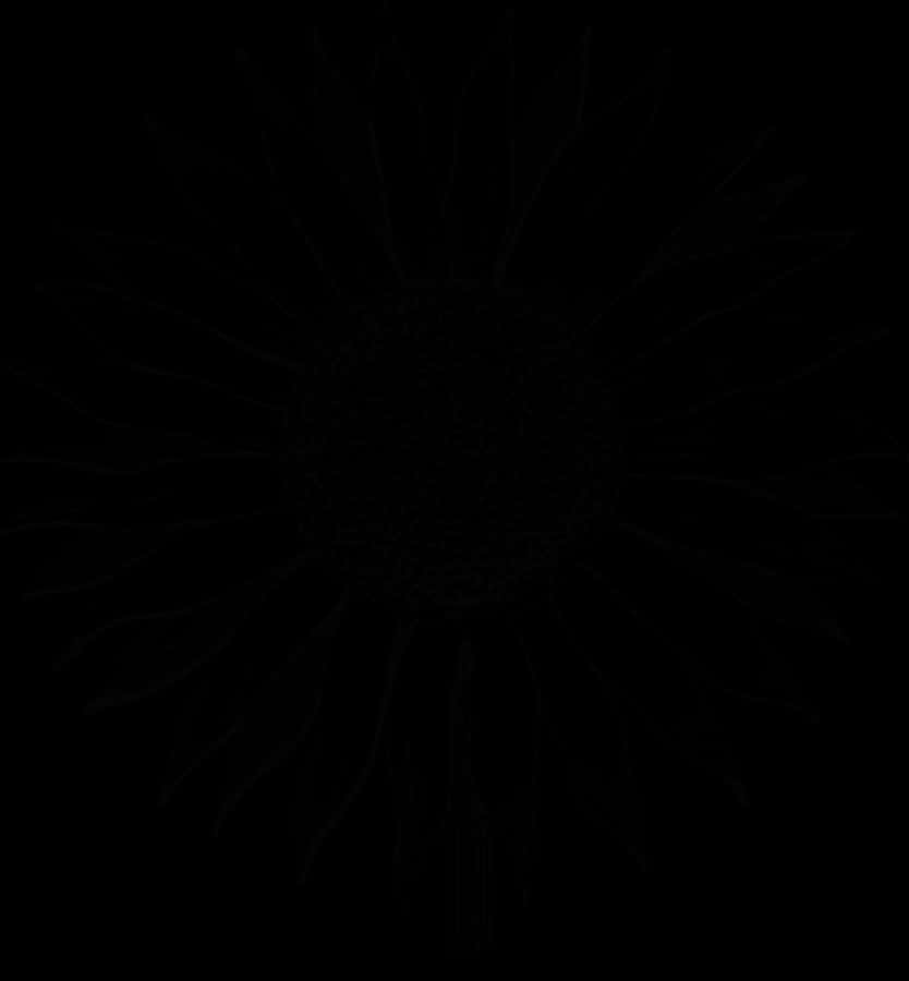 Abstract Sunflower Silhouette