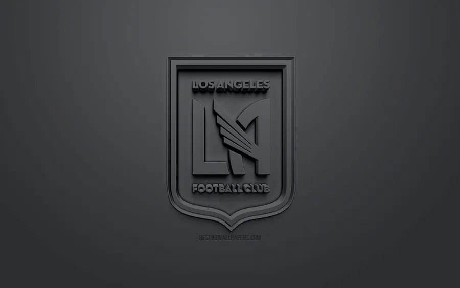 3D Gray LAFC