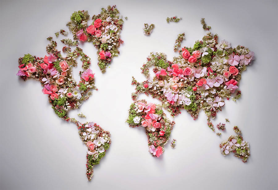 Blomster Pink Verdenskort Som Desktop Design