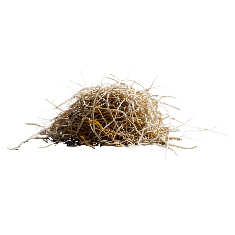 Tumbleweed against Sky Background PNG cqu