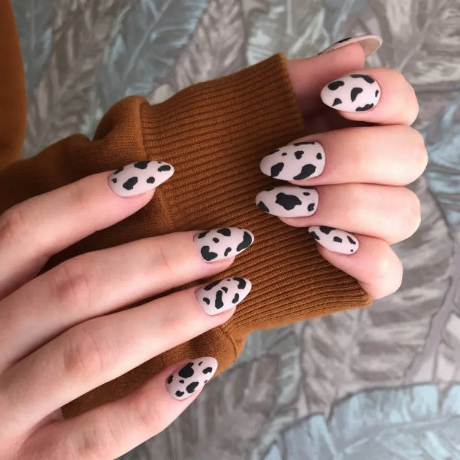 Nail [picture]