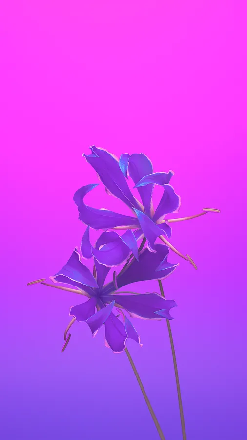 Iphone 11 Purple