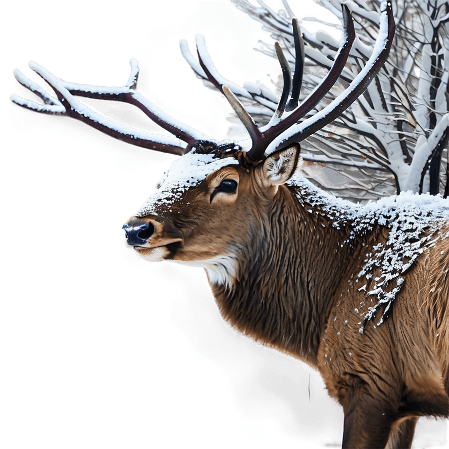 Stag in Winter Wonderland PNG wed
