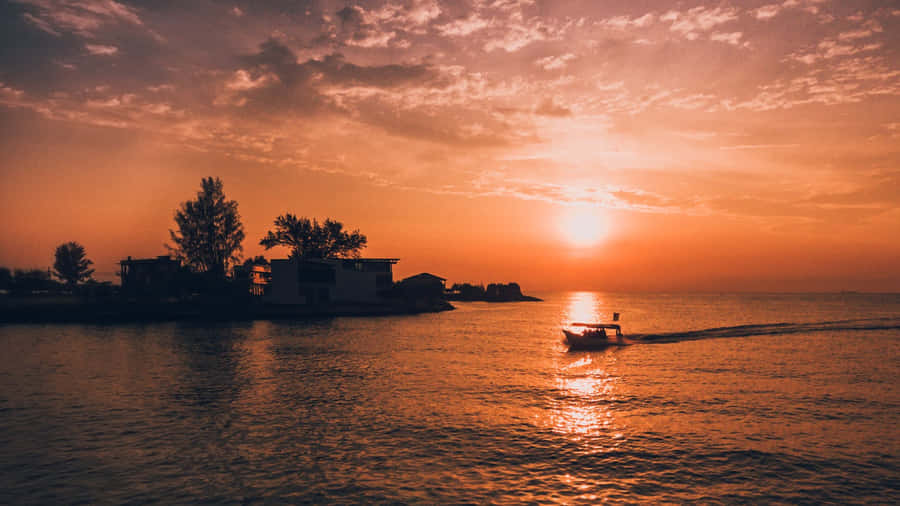 Cute Sunset