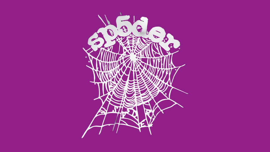 Sp5der Webdesign Logo
