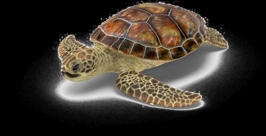 Swimming Sea Turtle Illustration