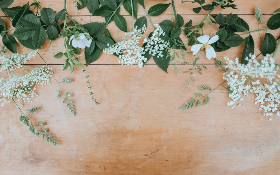 Flower Background