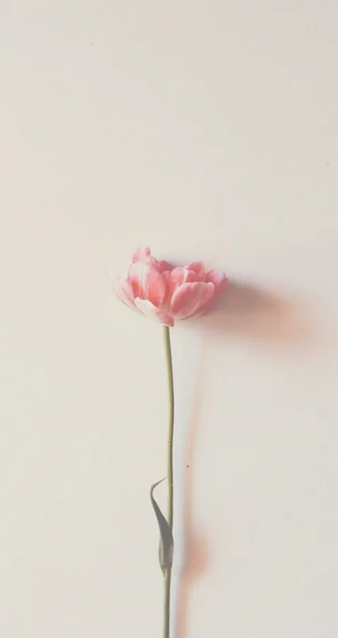 Minimalist Spring
