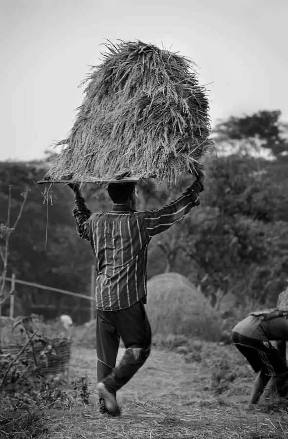 Hard Work Pictures