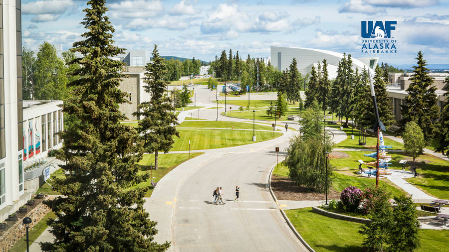 Universitätvon Alaska Fairbanks Poster