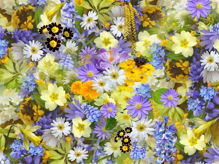 Fundode Tela com Flores Brilhantes.