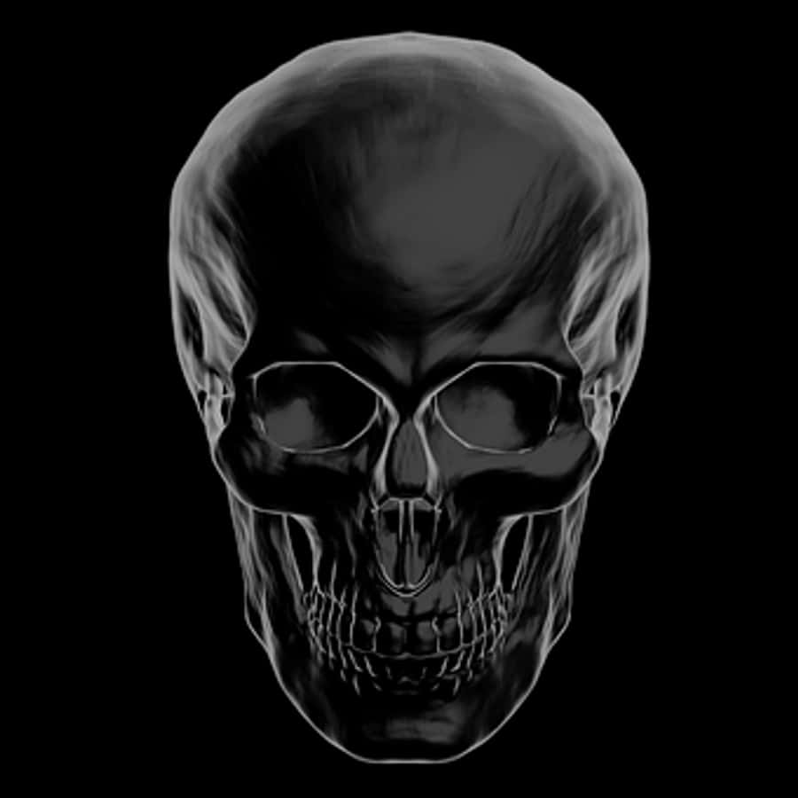 Black Background Human Skull