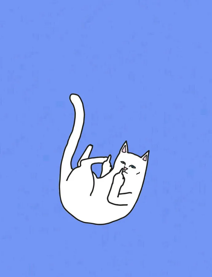 ripndip