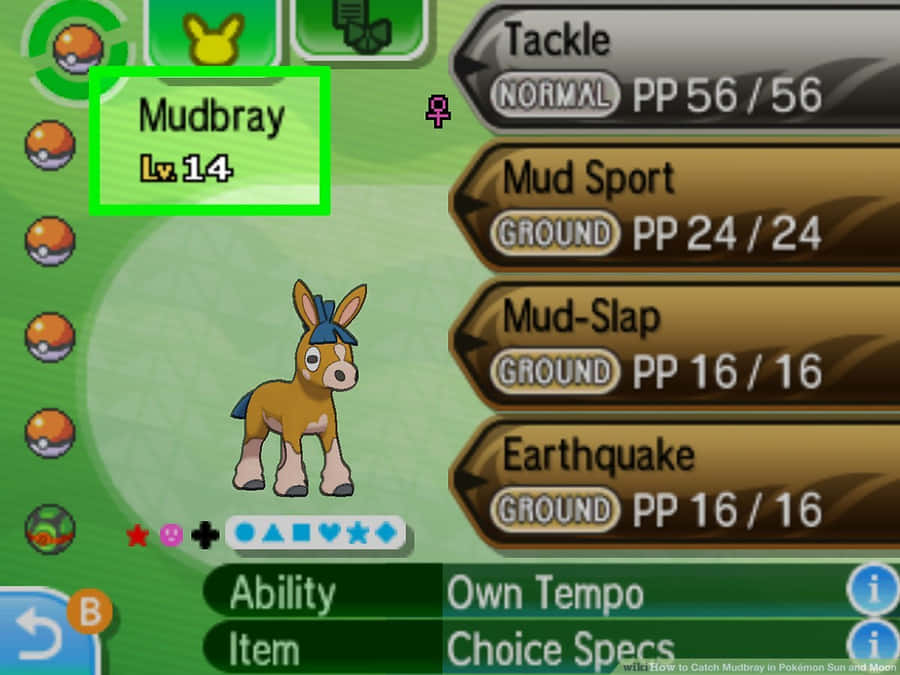 Mudbrayem um jogo