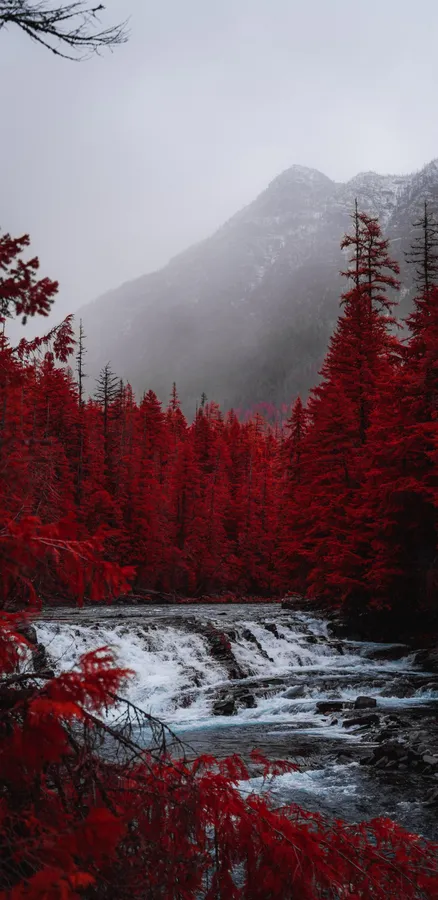 Aesthetic Nature